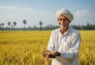 Agriculture Revolution: India Surpasses China to Become the World’s Largest Rice Producer